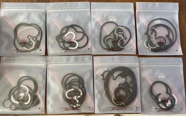 Excavator pilot pump/gear pump seal kit oil seal repair kit applicable models A8V200
